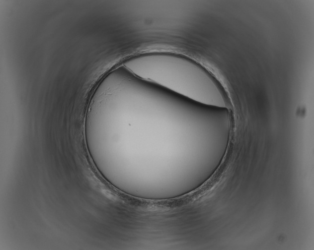 X0000093440529200710120947