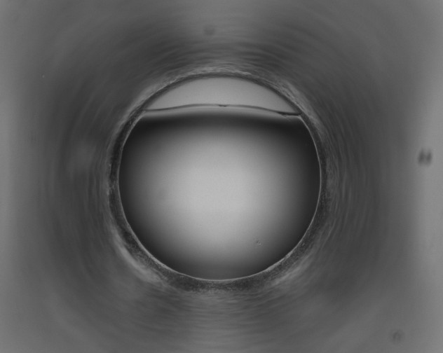X0000093440530200710120947