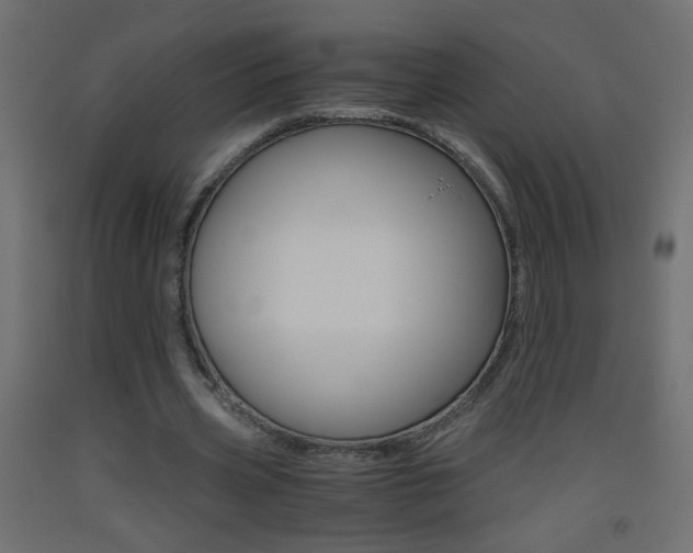 X0000093440533200710120947
