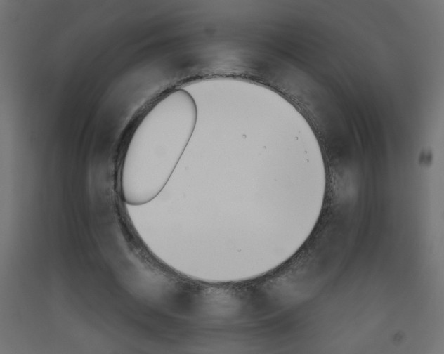 X0000093440534200710120947
