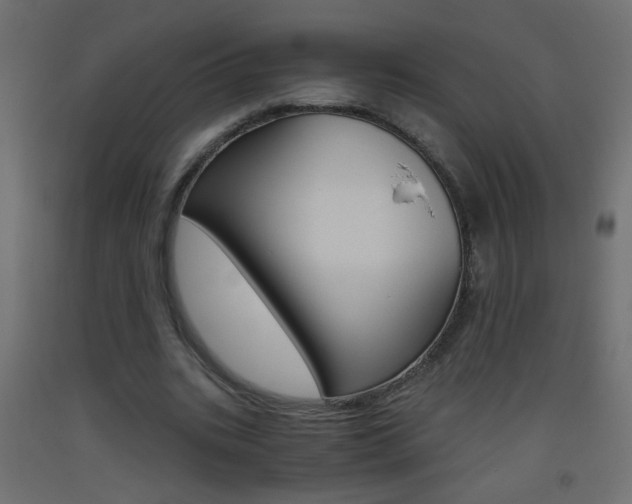 X0000093440535200710120947