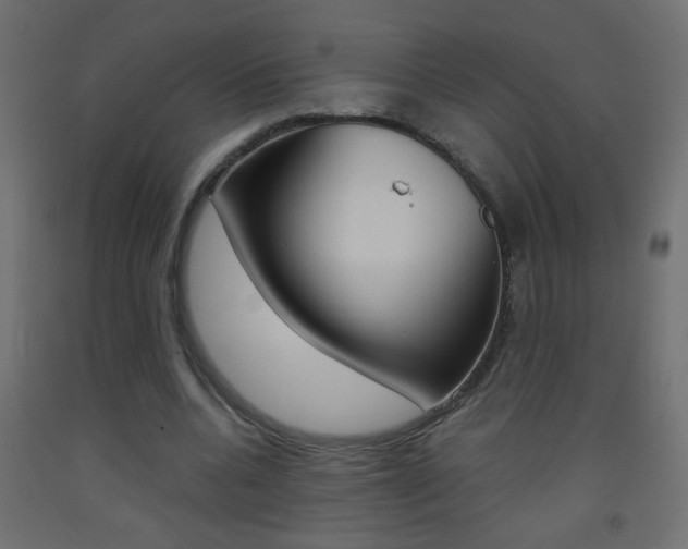 X0000093440536200710120947