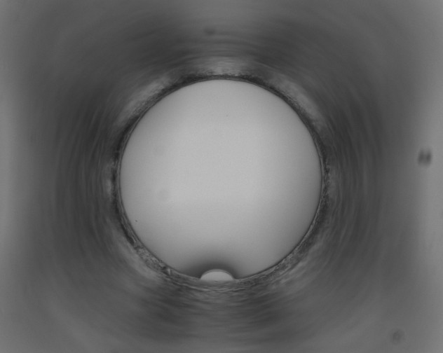 X0000093440537200710120947