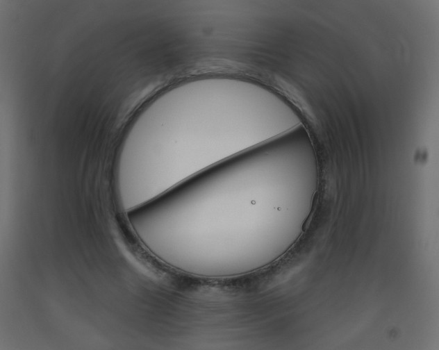X0000093440538200710120947