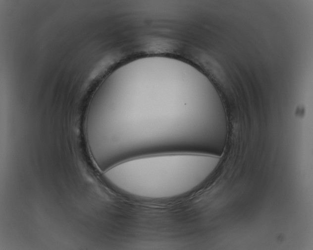 X0000093440539200710120947