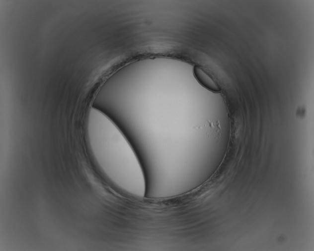 X0000093440542200710120947