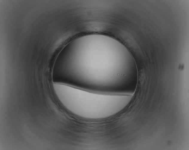 X0000093440544200710120947