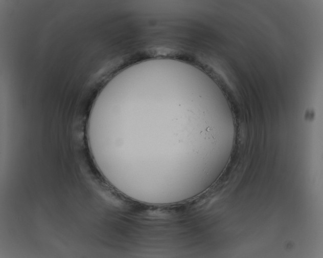 X0000093440545200710120947