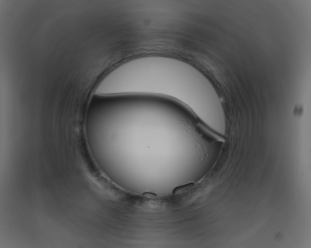 X0000093440546200710120947