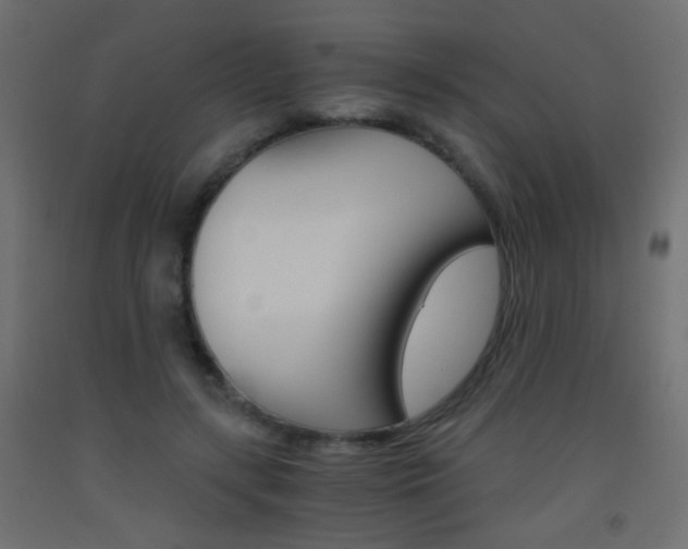 X0000093440547200710120947
