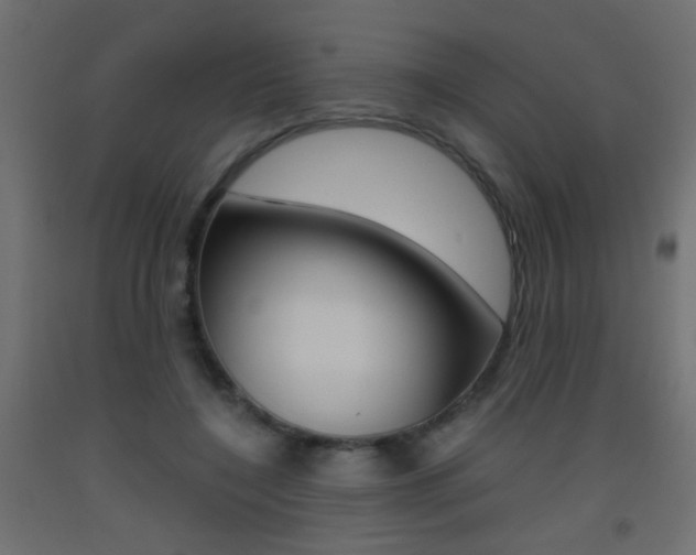 X0000093440548200710120947