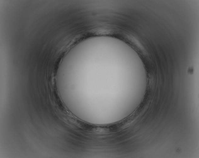 X0000093440549200710120947
