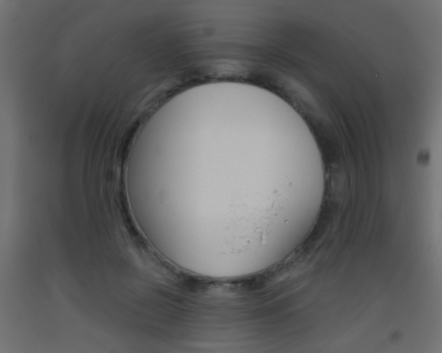 X0000093440550200710120947