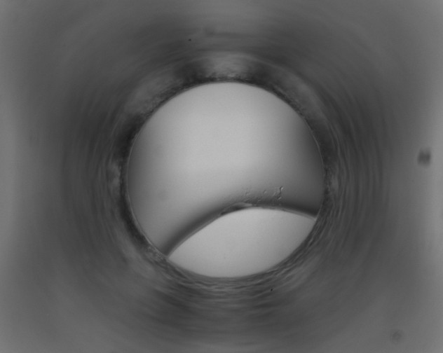 X0000093440551200710120947