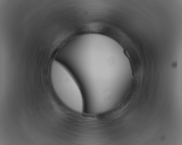 X0000093440552200710120947