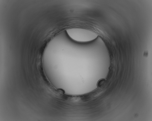 X0000093440554200710120947