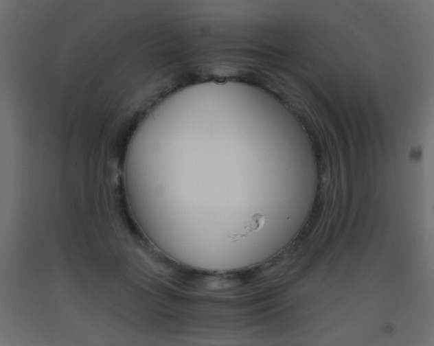 X0000093440555200710120947