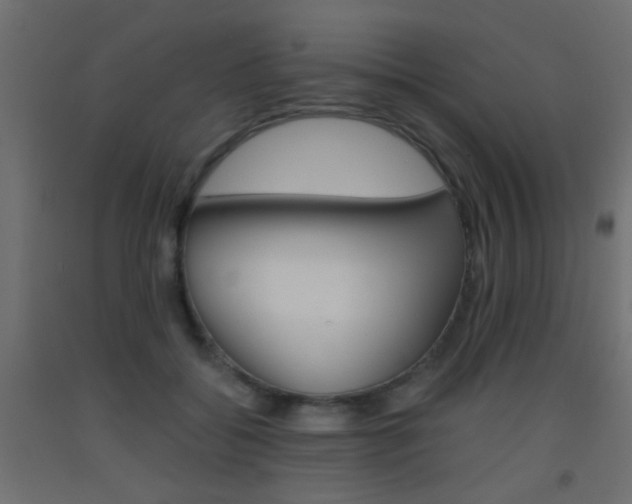 X0000093440556200710120947