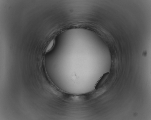 X0000093440558200710120947