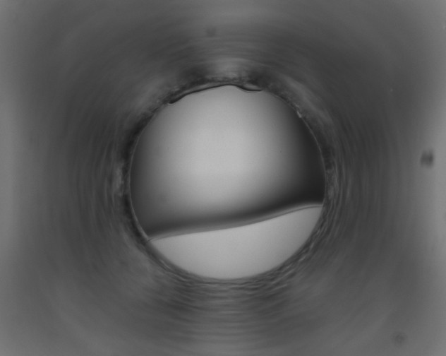 X0000093440560200710120947