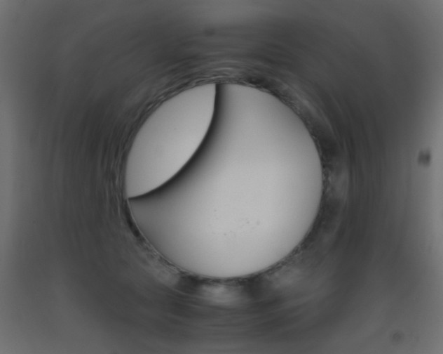 X0000093440561200710120947
