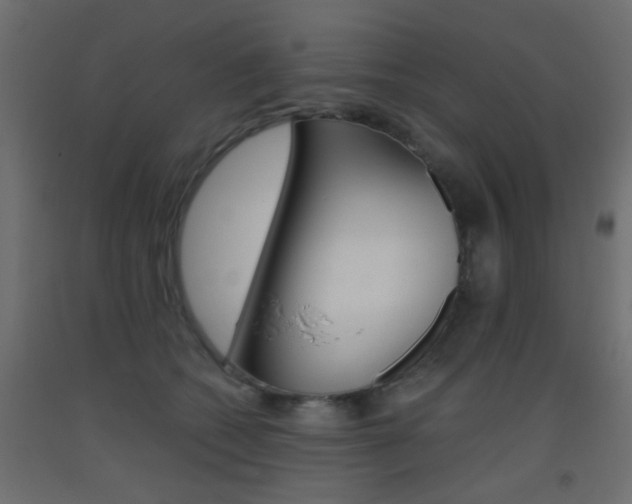 X0000093440562200710120947
