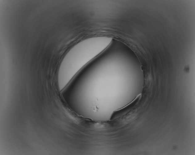 X0000093440566200710120947