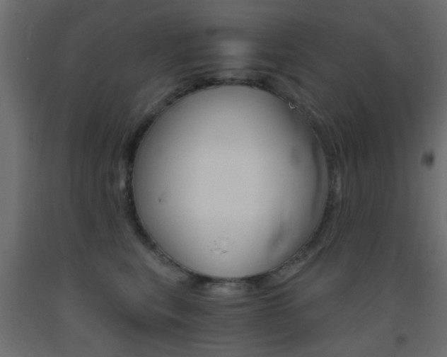 X0000093440567200710120947