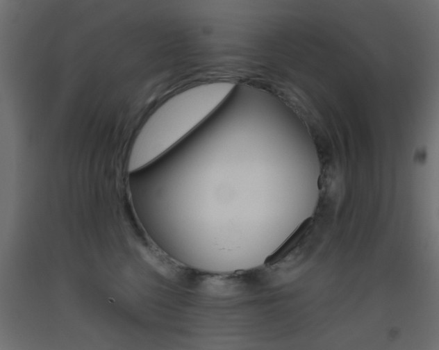 X0000093440568200710120948