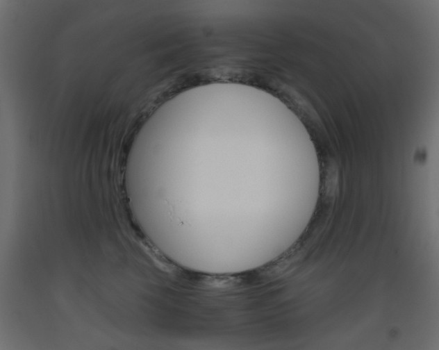X0000093440569200710120948