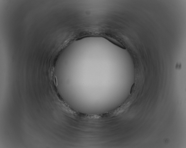 X0000093440576200710120948