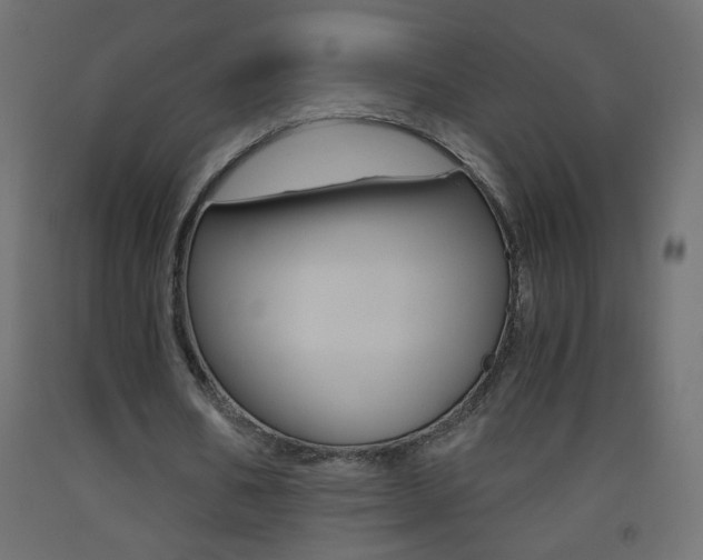 X0000093440578200710120947