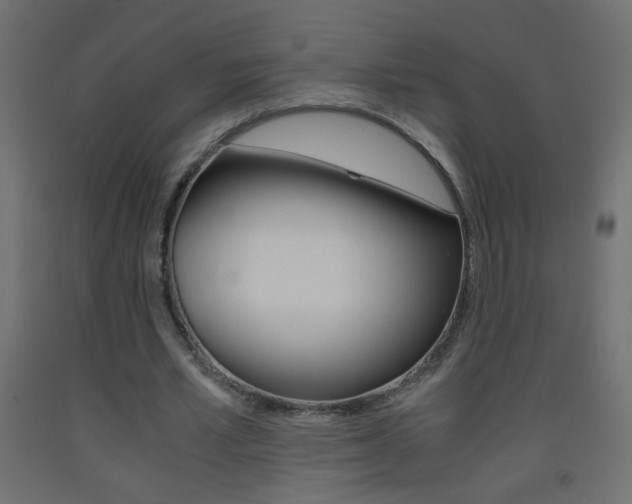 X0000093440581200710120947