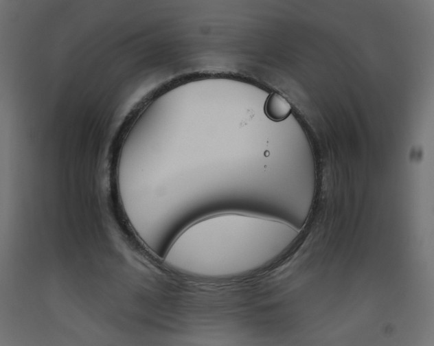X0000093440584200710120947