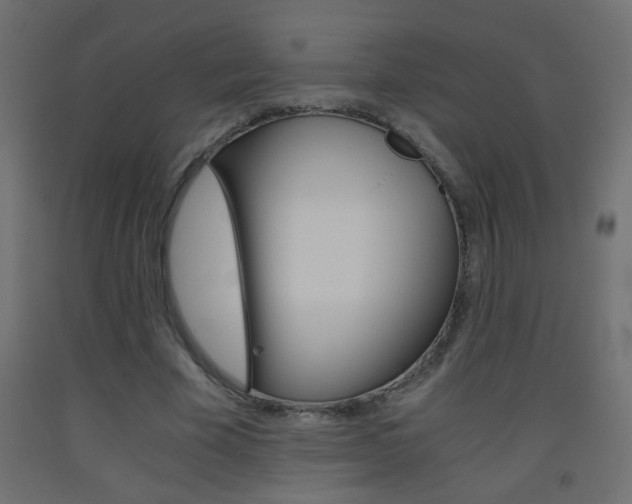 X0000093440585200710120947