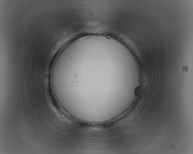 X0000093440586200710120947