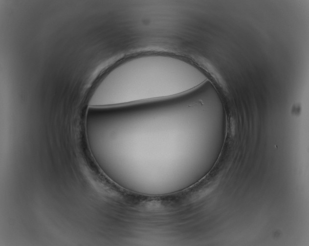 X0000093440588200710120947
