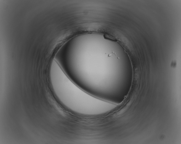 X0000093440589200710120947