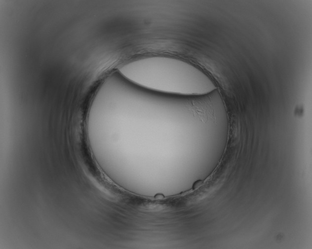 X0000093440590200710120947