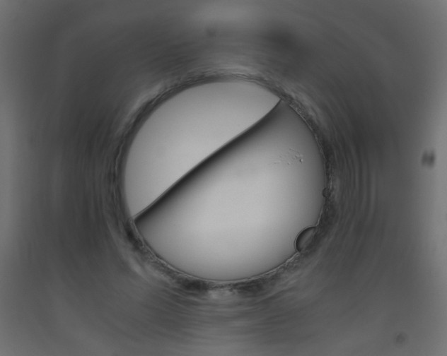 X0000093440591200710120947