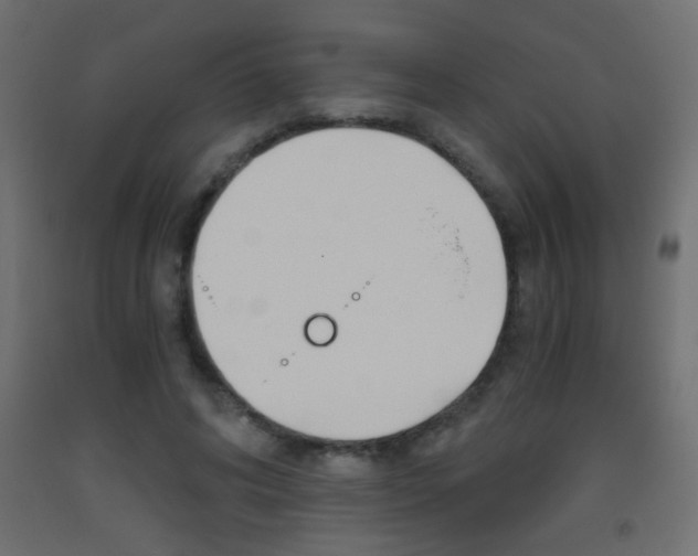 X0000093440592200710120947