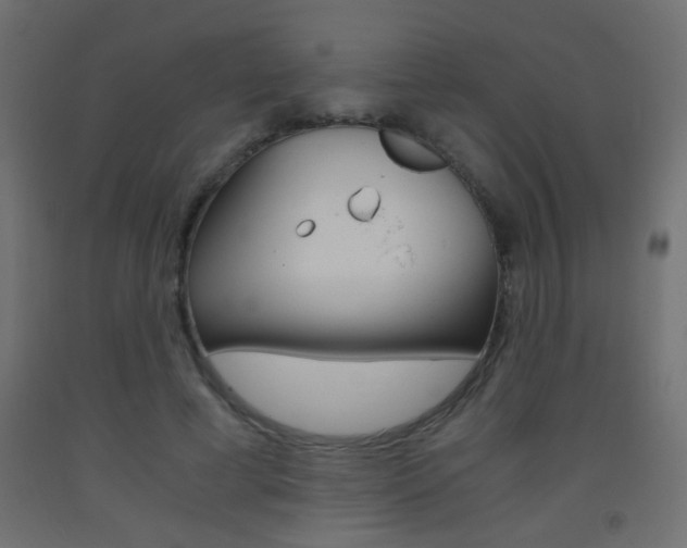 X0000093440593200710120947