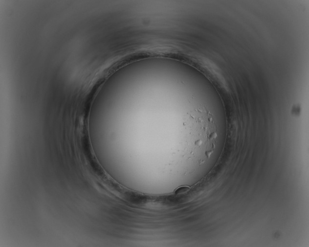 X0000093440596200710120947