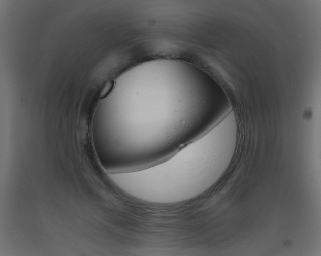 X0000093440597200710120947