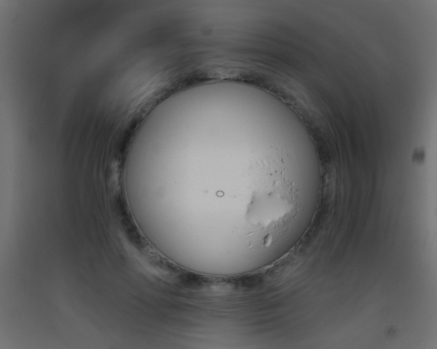 X0000093440598200710120947