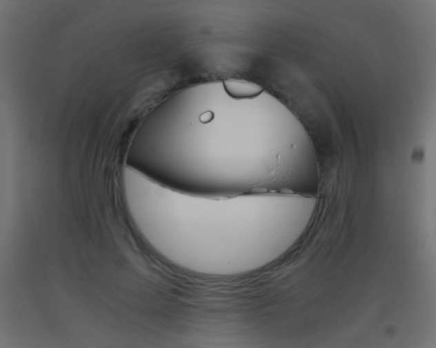X0000093440599200710120947