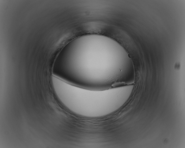 X0000093440600200710120947