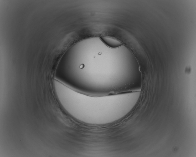 X0000093440601200710120947