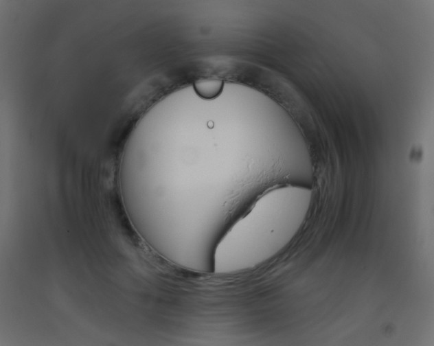 X0000093440602200710120947