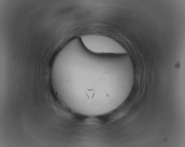 X0000093440603200710120947